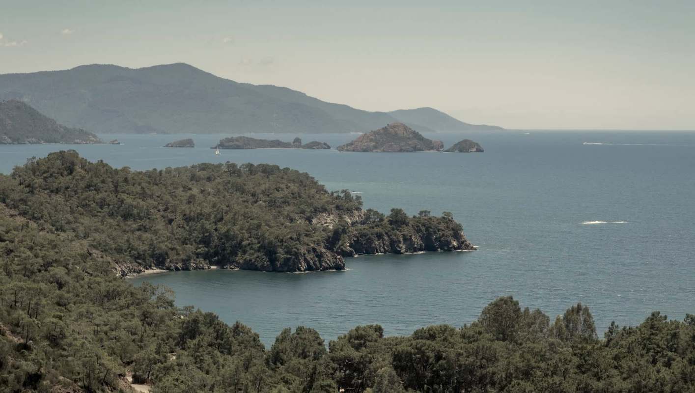 A recent study of ocean life off the coast of Turkey has revealed that warmer Mediterranean temperatures are leading to an invasion of lionfish.
