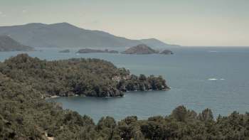 A recent study of ocean life off the coast of Turkey has revealed that warmer Mediterranean temperatures are leading to an invasion of lionfish.