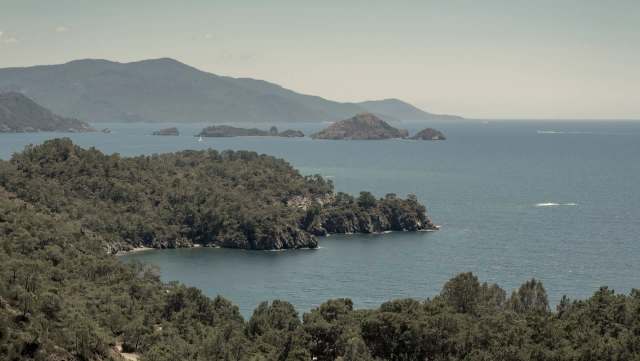 A recent study of ocean life off the coast of Turkey has revealed that warmer Mediterranean temperatures are leading to an invasion of lionfish.
