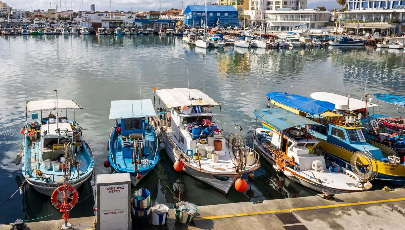 Fishermen and restaurant owners in Cyprus are turning an ecological threat into a culinary opportunity.