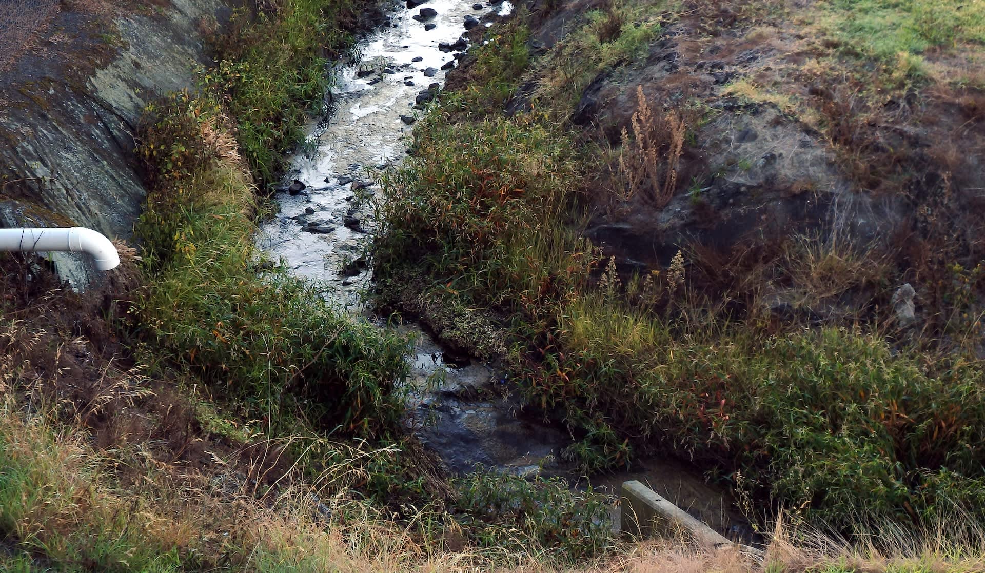 Massive dairy farm under fire amid reports of stomach-churning accident: 'Just like any other industry … you need to be watching'
