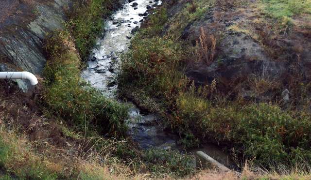 The Wisconsin Department of Natural Resources is investigating a 100,000-gallon manure spill at a large dairy farm.