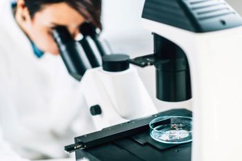 A new study investigated microplastics' effects on fertility and lifespan when combined with another common toxin found in household products.