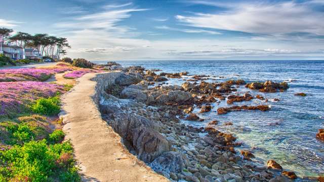 Pacific Grove, California, is known as Butterfly Town, and it is a vital area for monarch butterfly migration.