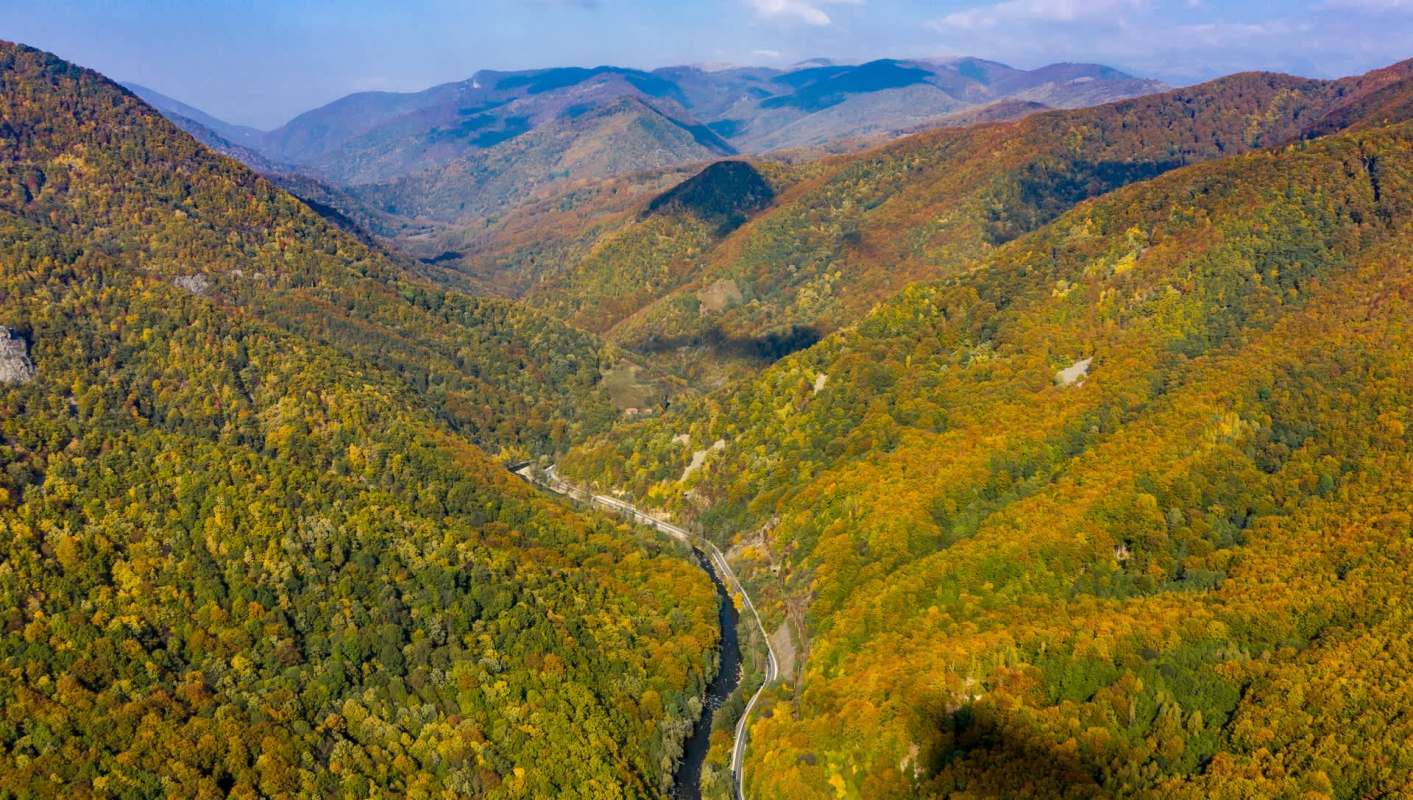 Romanian conservationists are celebrating a rare moose sighting, which represents a promising sign for biodiversity in the region.