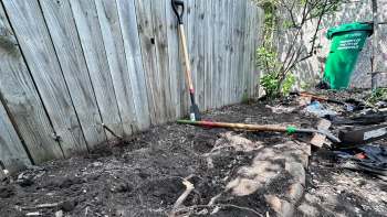 One Minnesota gardener shared photos of their morning glory nightmare and the ensuing cleanup process in the r/Minnesota_Gardening subreddit.