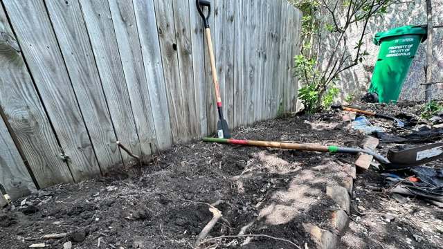 One Minnesota gardener shared photos of their morning glory nightmare and the ensuing cleanup process in the r/Minnesota_Gardening subreddit.