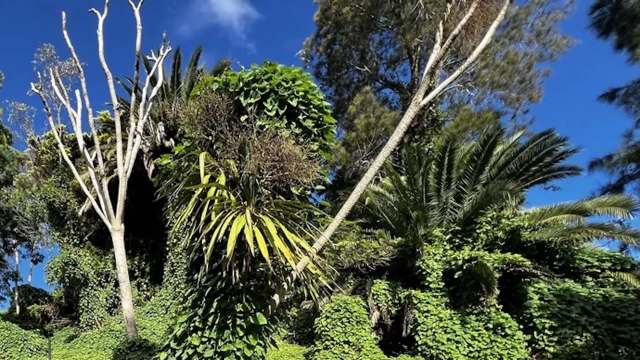 According to a new study, cereal, bread, pastries, pasta, and flour all have one disturbing thing in common: heavy contamination from PFAS.