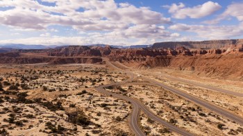 When the land dries out, mule deer don't just tough it out — they move.