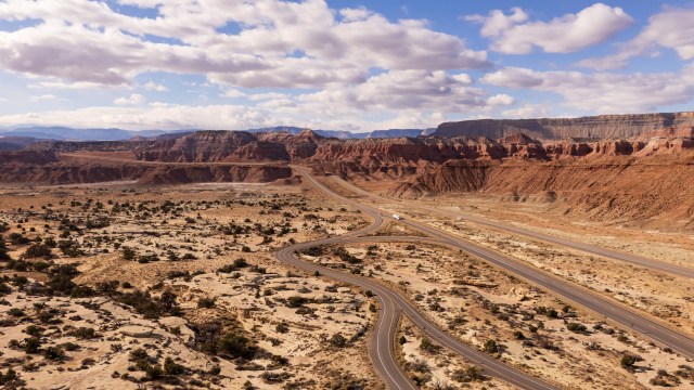 When the land dries out, mule deer don't just tough it out — they move.