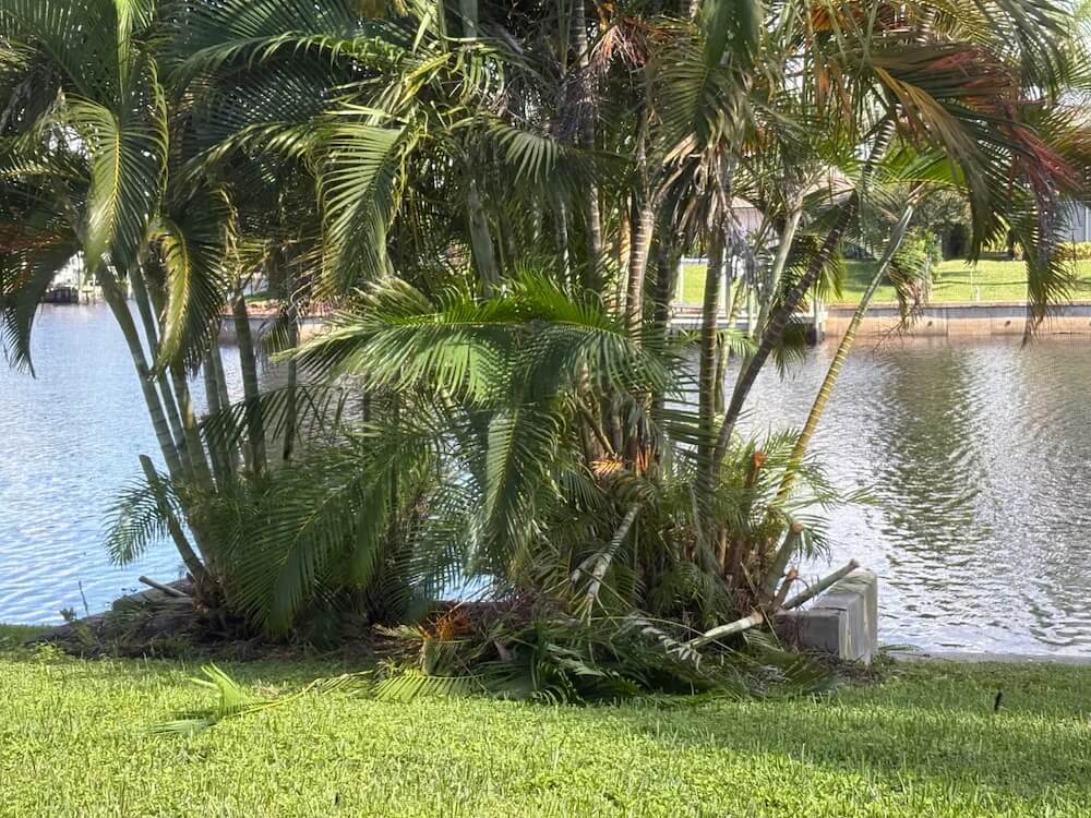 One Redditor shared how a neighbor's alleged destruction of trees became a bonding experience for all the tenants.