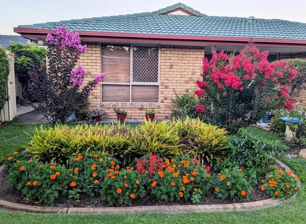 One Redditor garnered thousands of likes for highlighting the beauty of their neighbor's front yard, full of blooming crape myrtle and phlox plants.