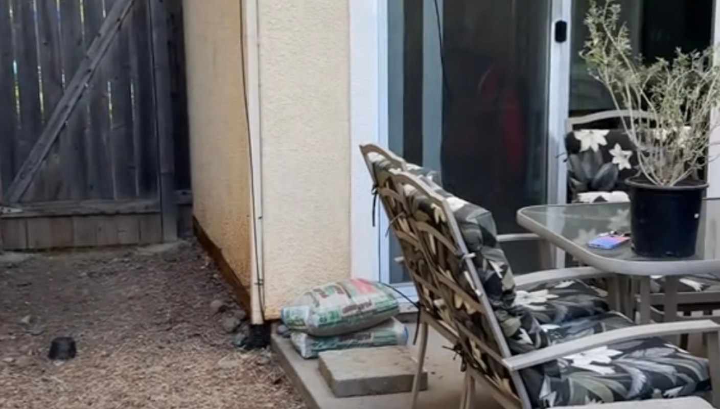 A landscape designer shared an unbelievable native garden transformation on TikTok.