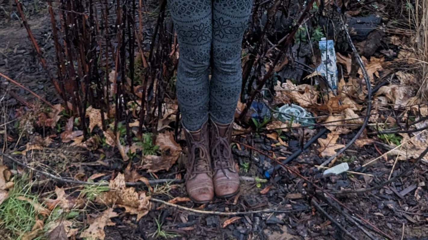 One Redditor shared how they transformed their barren yard into a thriving native plant garden.