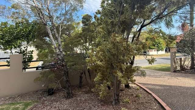 An Australian gardener transformed a sad patch of dirt into a stunning native plant garden — then asked for watering tips on Reddit.
