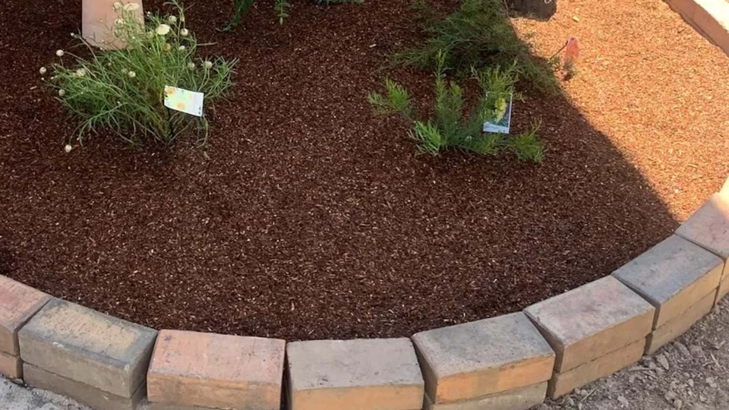 One enthusiastic gardener shared their amazing experience with transforming their yard into a native plant garden.