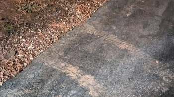 One Redditor was outraged when their stonecrop sedum was destroyed by a landscaping company.