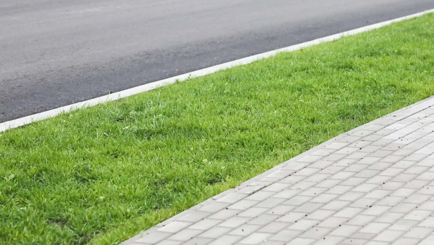 Redditors rallied around a user whose town forced them to plant only grass on the hellstrip of their property.