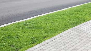 Redditors rallied around a user whose town forced them to plant only grass on the hellstrip of their property.