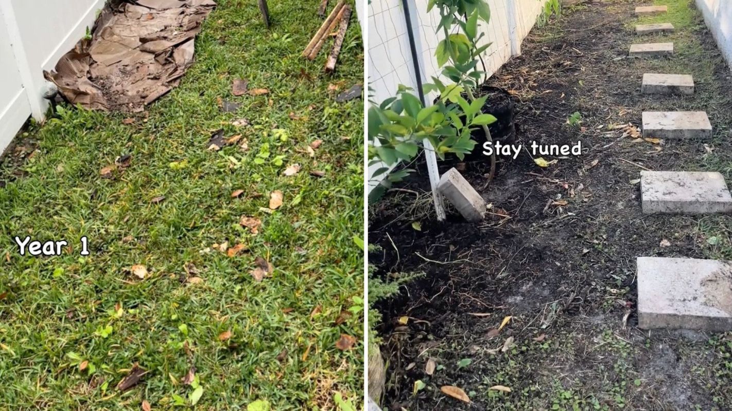 This homeowner almost gave up on a native plant project, but they powered through planting to create a stunning side yard.