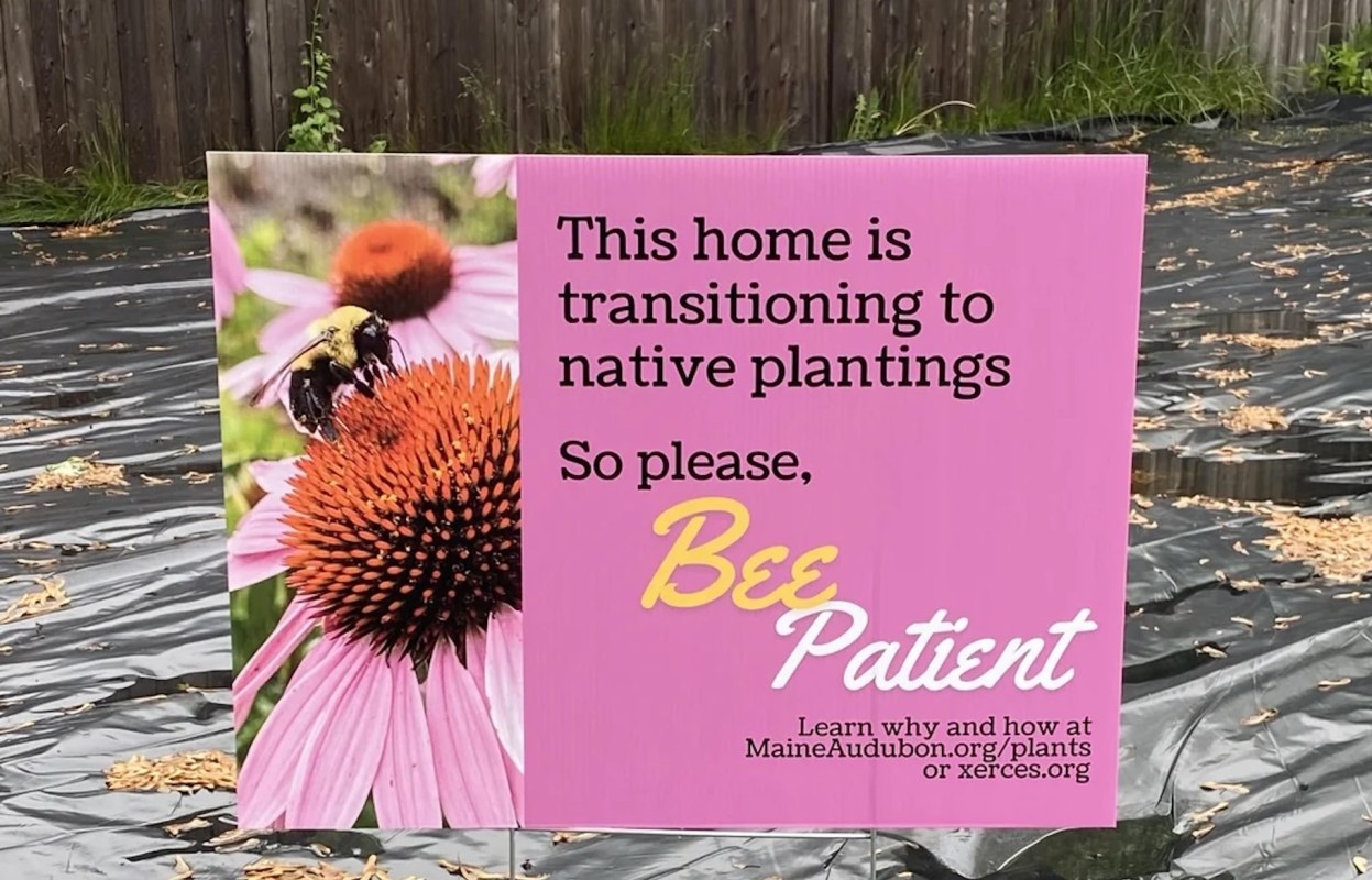 One gardener shared a clever sign they'd made to explain their transition to native plantings to their neighbors.