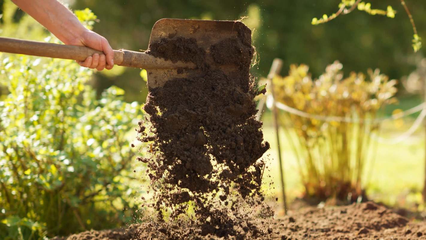 Upgrading your yard with native plants not only benefits the environment, but one gardener proved that it can help utilize limited space too.