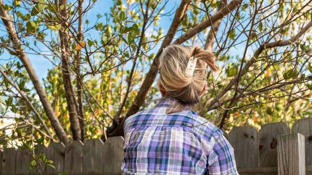 One Redditor mocked a post from a neighbor on the r/NoLawns subreddit, after they complained about natural landscaping.