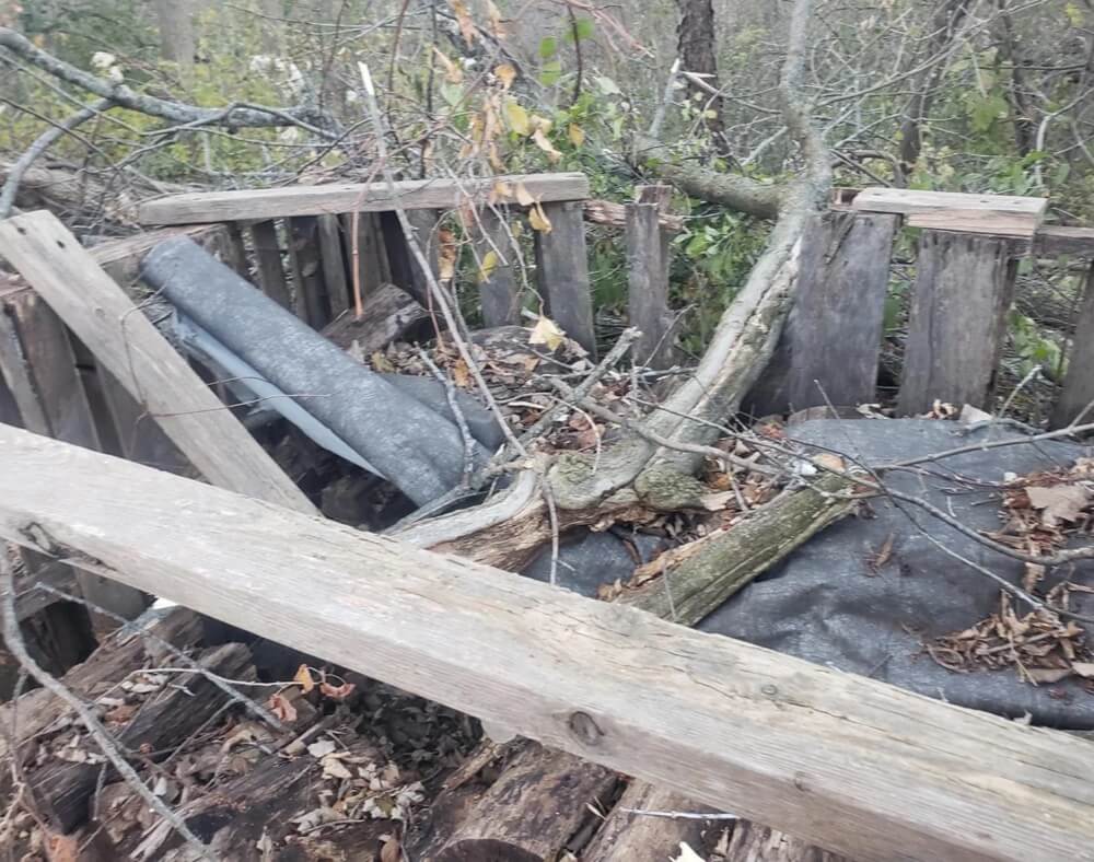 A homeowner was furious when a neighbor's tree removal company caused extensive damage to his property, including his beloved mulberry tree.