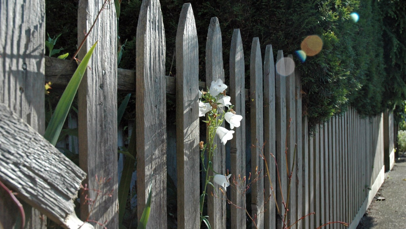 A neighbor cutting down your tree is annoying at the best of times, but it's even worse when it puts a house sale in jeopardy.