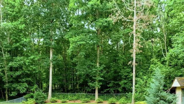 A North Carolina homeowner shared a shocking neighbor dispute on Reddit after their neighbor had trees cut down on their property.