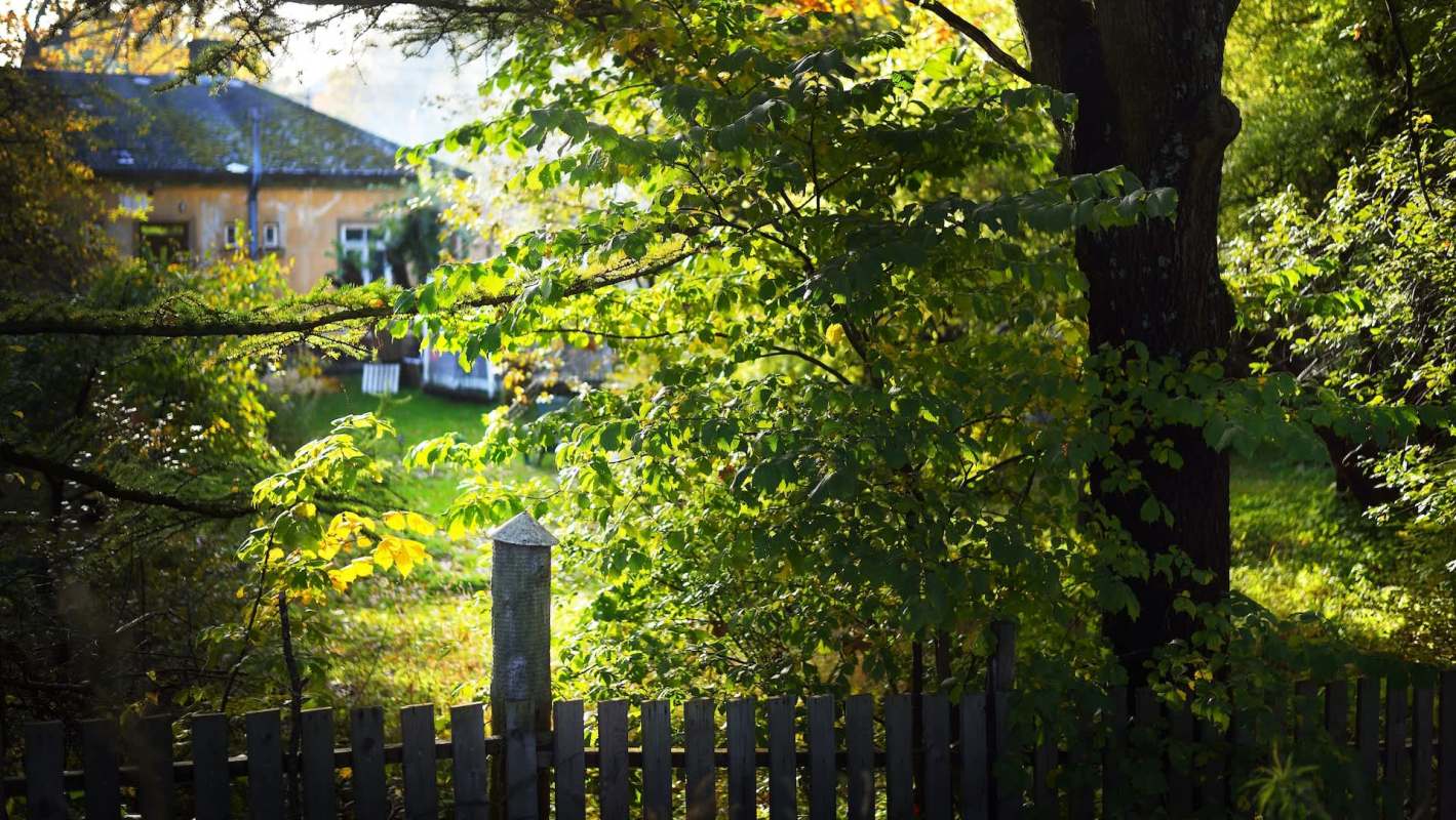 One Redditor shared the frustrating story of a dispute over lawn care and the disrespectful actions of their neighbors.