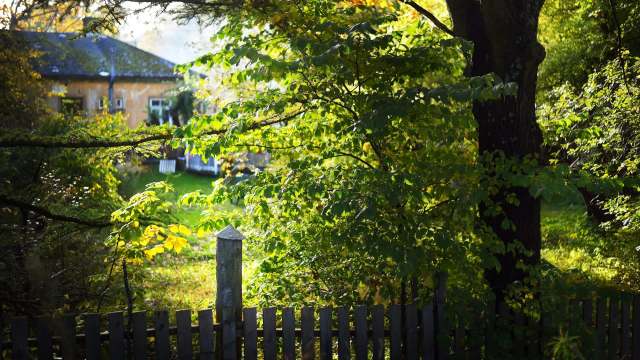 One Redditor shared the frustrating story of a dispute over lawn care and the disrespectful actions of their neighbors.
