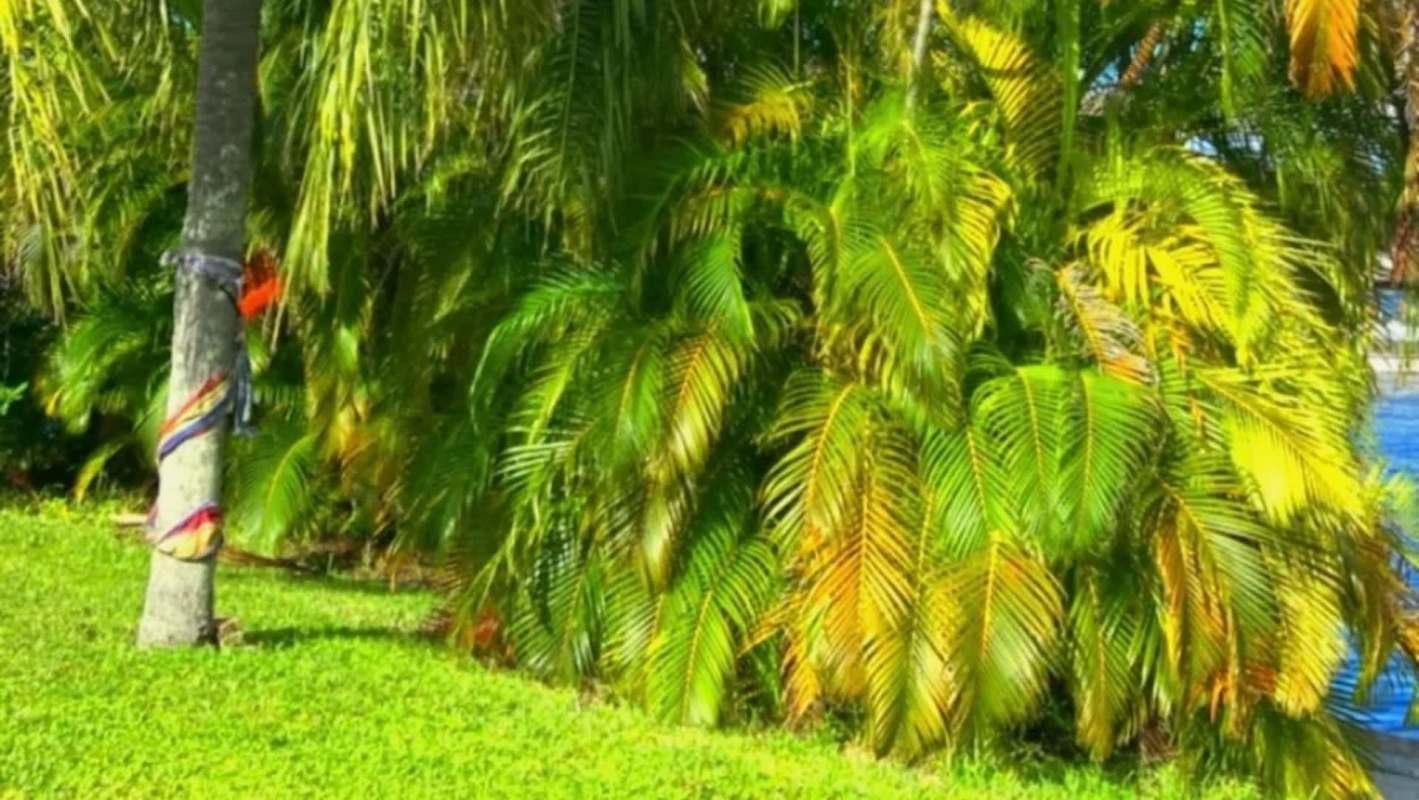 One Redditor shared how a neighbor's alleged destruction of trees became a bonding experience for all the tenants.