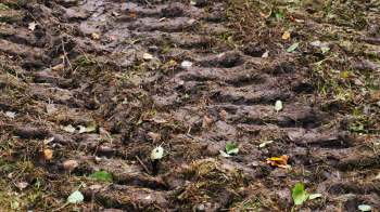 A Redditor asked for advice since their nightmare neighbor repeatedly drove through their front yard.