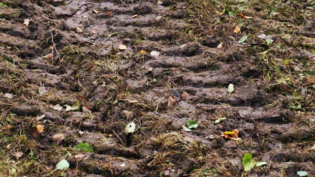 A Redditor asked for advice since their nightmare neighbor repeatedly drove through their front yard.