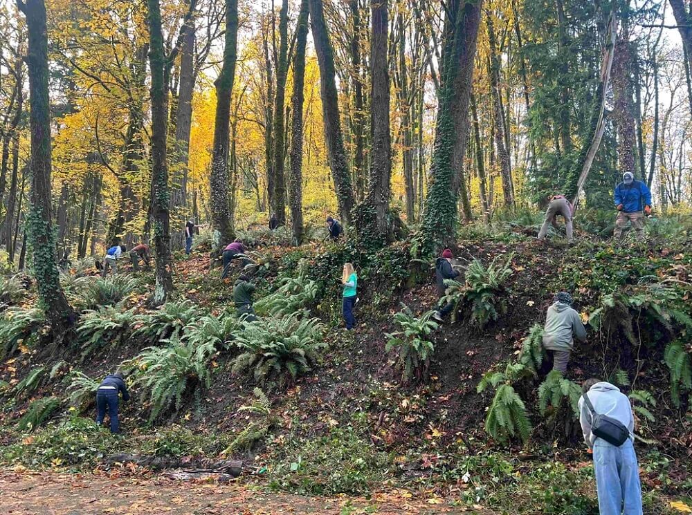 One Redditor shared photos and reflections from their first-ever ivy-pulling event in Forest Park.