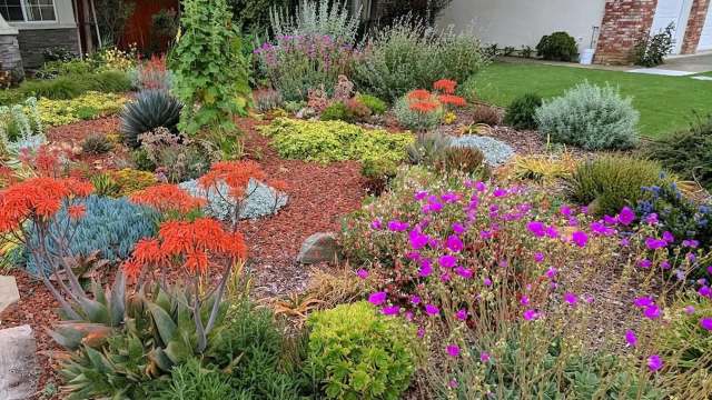 The no-lawn movement is on the rise, but seeing is believing. A Redditor shared photos of a stunning no lawn in Northern California.