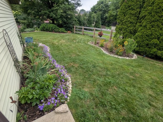 One gardener shared a story on r/landscaping about how they built a rain garden to fix a drainage issue in their backyard.
