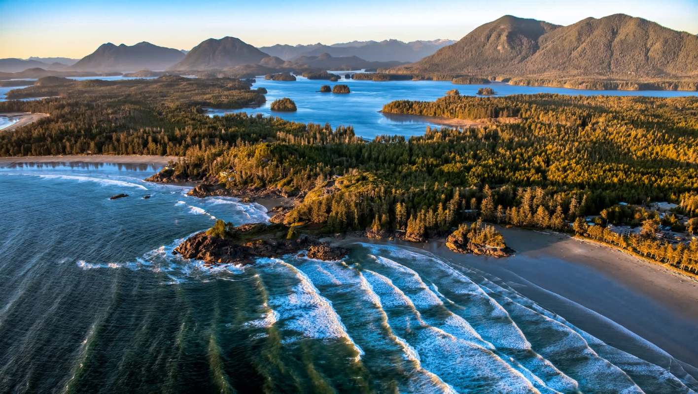 A newborn British Columbia's southern resident orca calf was spotted among a social group of orcas known as a K pod off the shore of Washington.