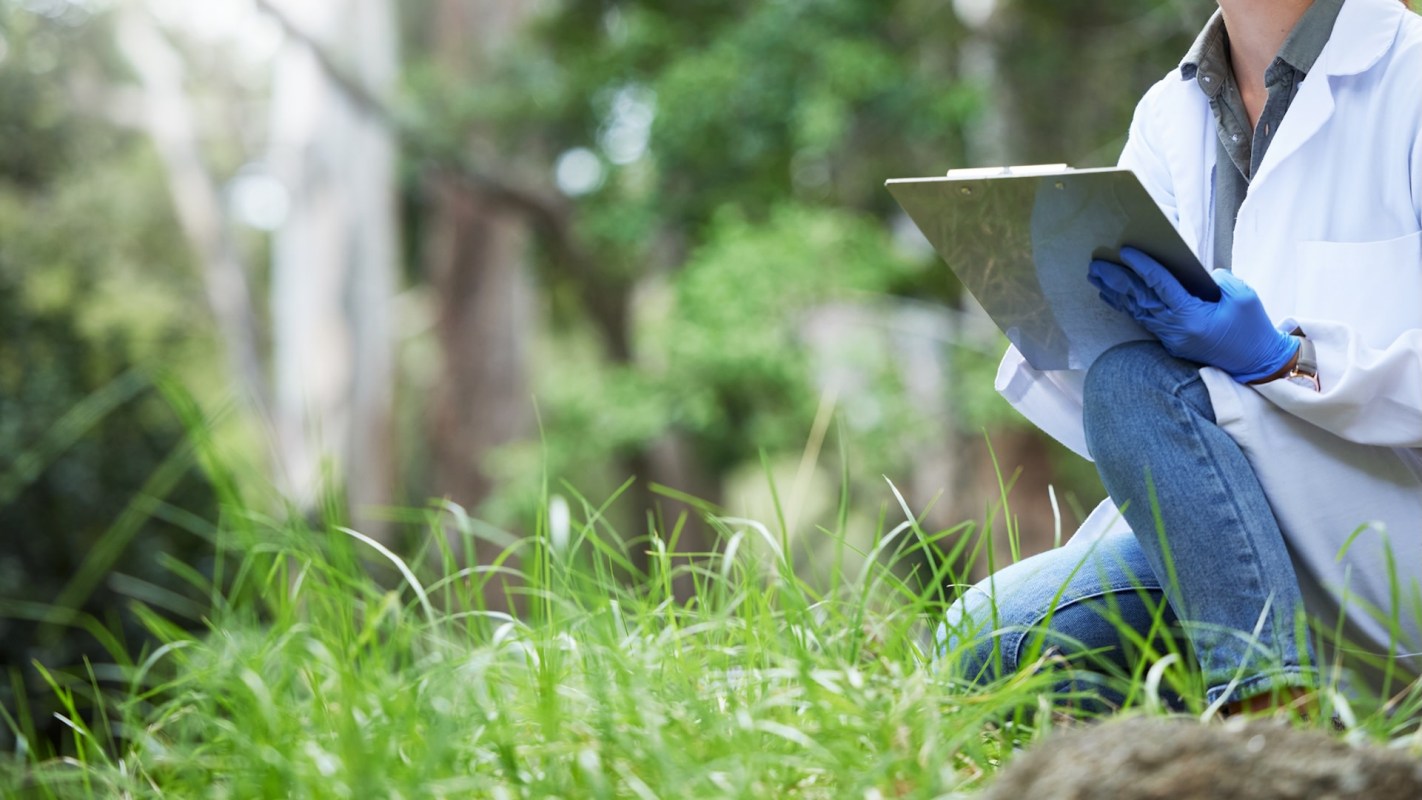After a decade of research and breeding programs, the osprey population in Illinois has grown significantly.