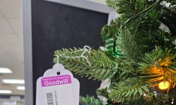 One Redditor shared the outrageous price tag for a Christmas tree sold at their local Goodwill.