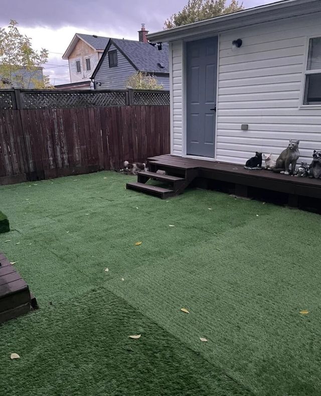 A Reddit post raised disagreements over the hidden costs of zero-maintenance landscaping, and its backlash was extreme.