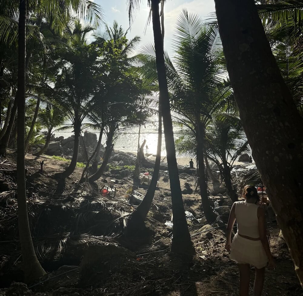 A Redditor visiting Thailand shared their dismay about the amount of litter in the r/ThailandTourism subreddit.