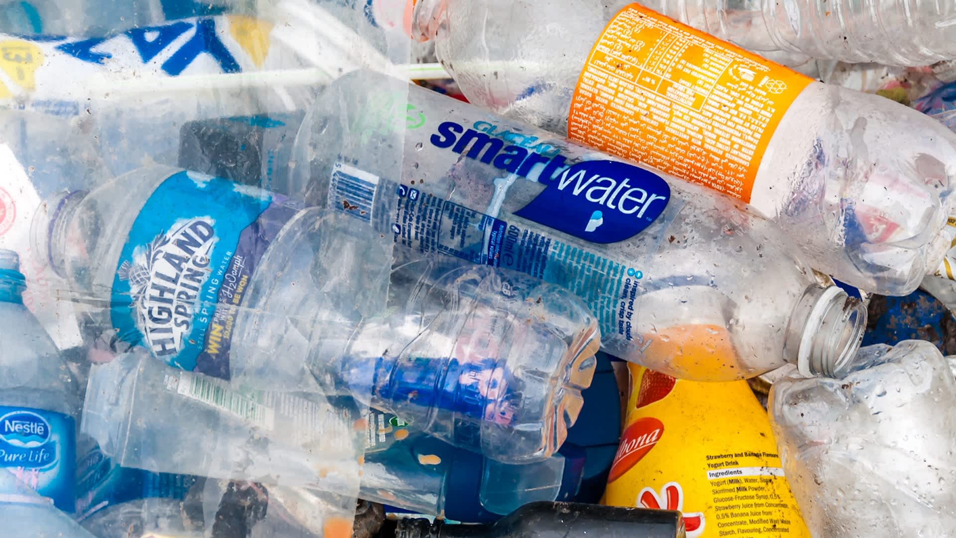 Scientists make revolutionary breakthrough that could transform what happens to common waste: 'Carefully designed'