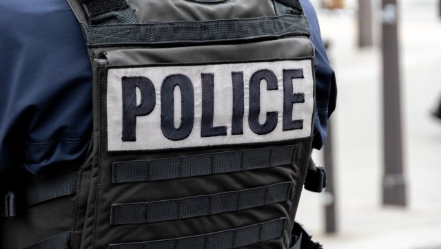 The Punjab Wildlife Department intercepted a bus carrying nearly 8,000 bird carcasses, uncovering a shocking wildlife smuggling operation.