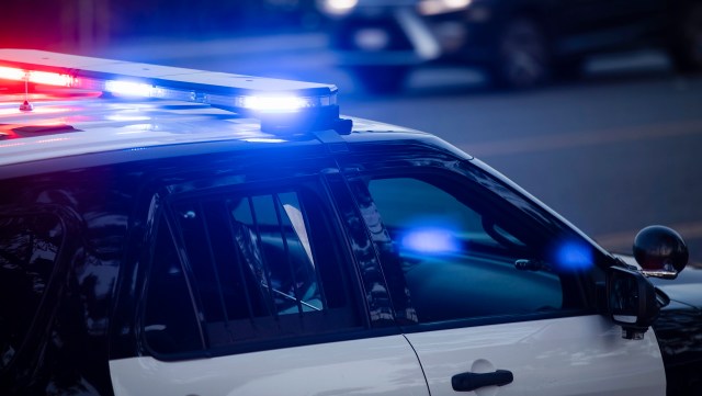 Police in India's Gujarat state recently intercepted a man carrying more than 3 kilograms (6.6 pounds) of ambergris, otherwise known as whale vomit or "floating gold."