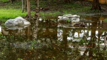 In the subreddit r/landscaping, one homeowner asked the community for advice on their pond flooding problem.