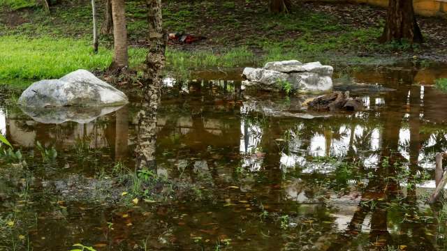 In the subreddit r/landscaping, one homeowner asked the community for advice on their pond flooding problem.