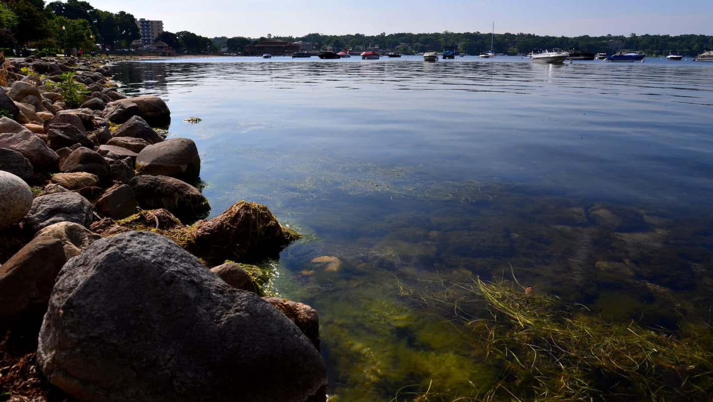 Quagga mussels have taken over Lake Geneva, significantly altering the ecosystem and threatening local infrastructure.