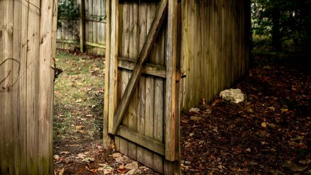 When one New York homeowner saw a raccoon with a jar stuck on its head, they called Rockland Wildlife Rescue & Rehabilitation for help.